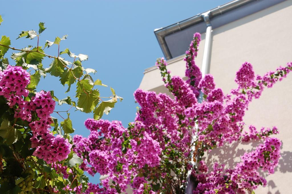 Apartments Alajbeg Trogir Kültér fotó